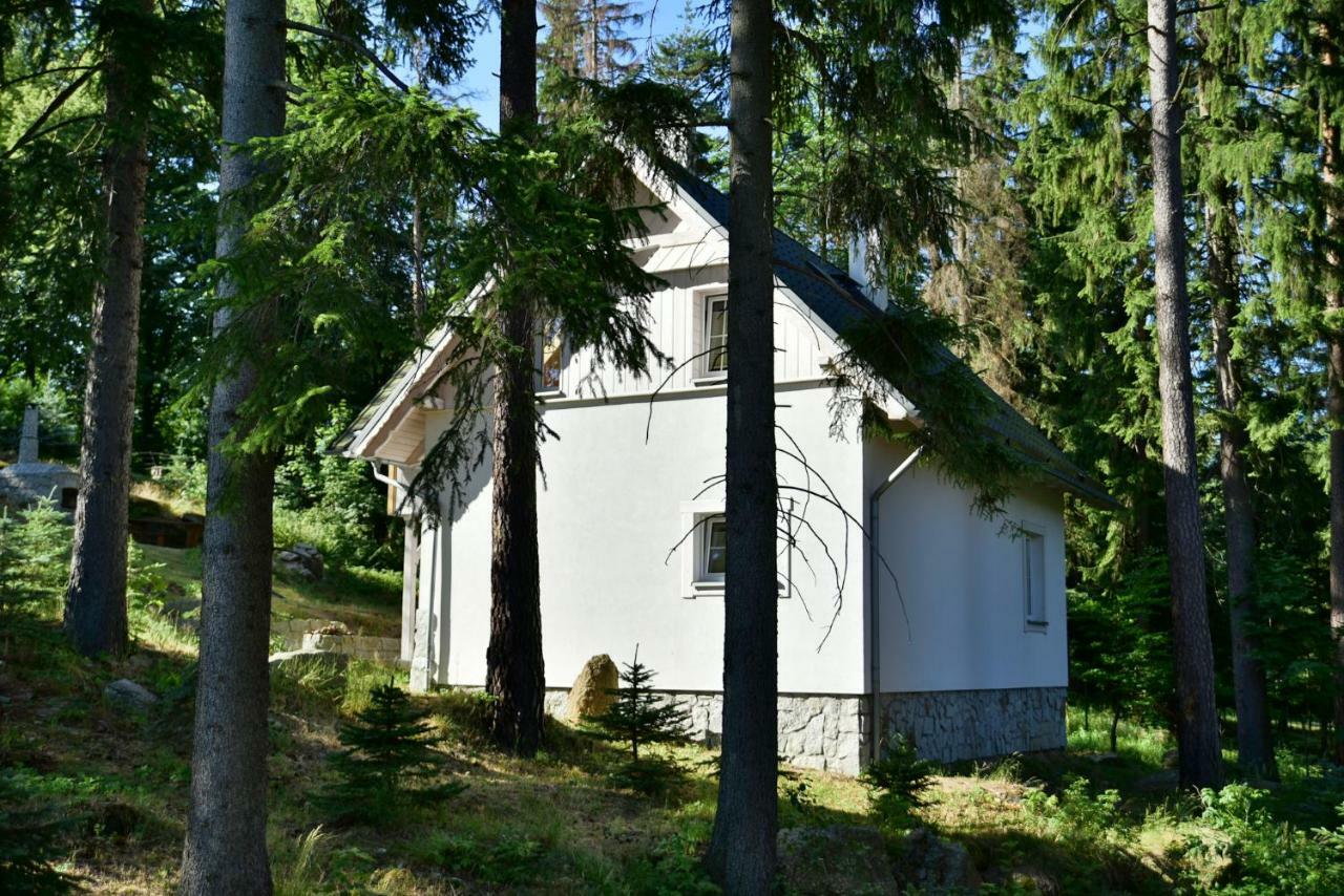 Górski Koło Karpacza- Apartamentuj