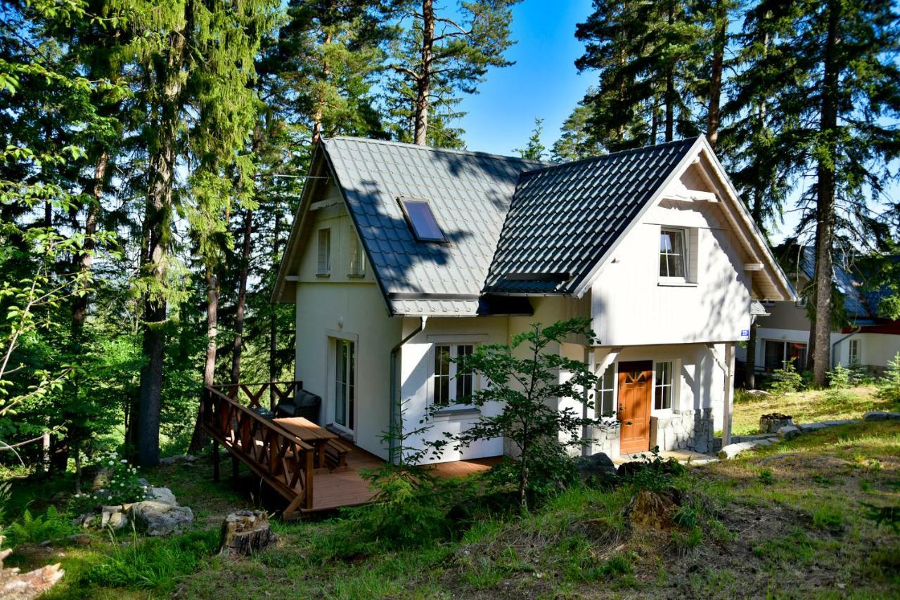 Prázdninový dům Gorski Kolo Karpacza- Apartamentuj *